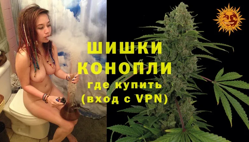 МАРИХУАНА White Widow  наркотики  Вытегра 